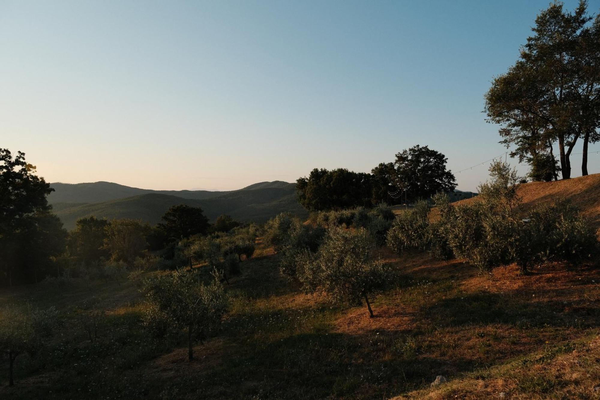 Vin Hotel - Wine Resort And Agriturismo Montieri Экстерьер фото